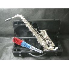 Professional Alto Saxophone X.G
