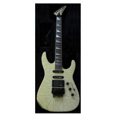 custom guitar order 20110719